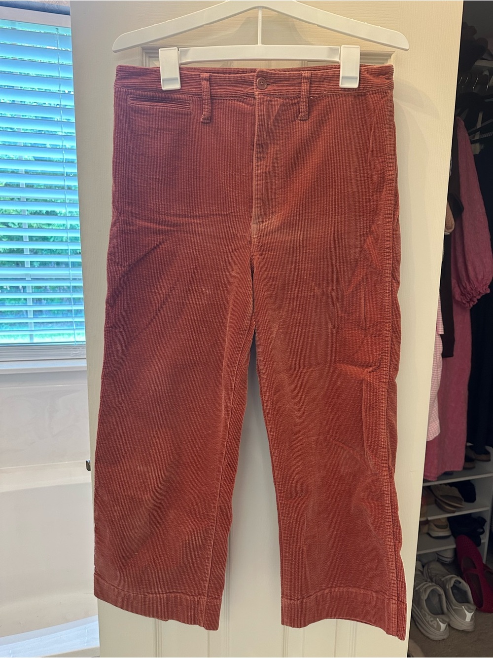Madewell High-Rise Slim Emmett Wide-Leg Corduroy Pants in Rusty Terracotta - Picture 2 of 8